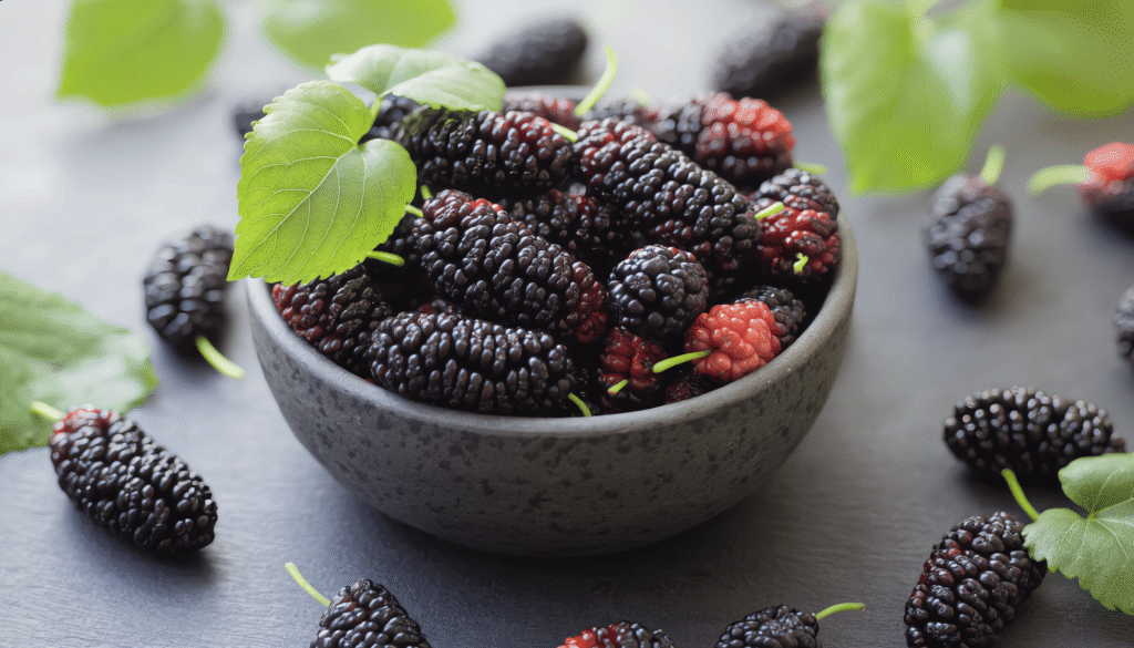 karadut besin degeri saglik icin doganin b2fe