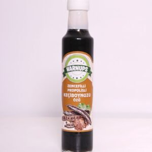 import placeholder for 5592